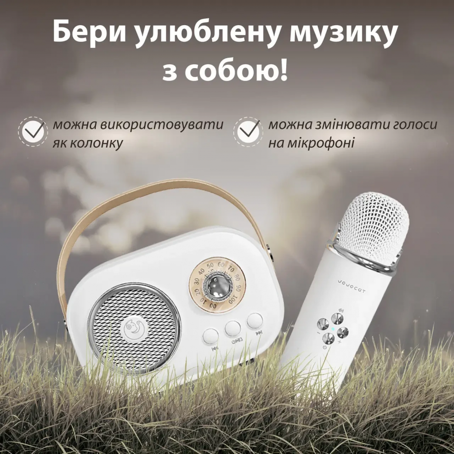 Колонка портативна з мікрофоном C-20 BT/TF/USB/FM 5 Вт Білий