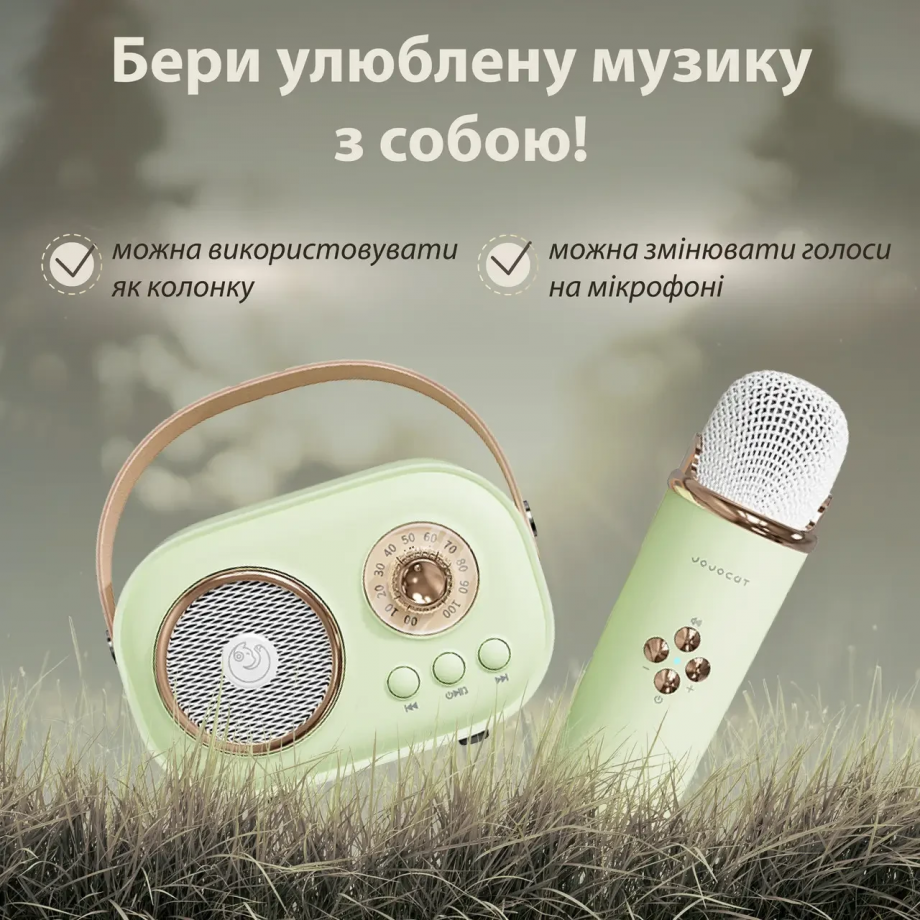 Колонка портативна з мікрофоном C-20 BT/TF/USB/FM 5 Вт Зелений