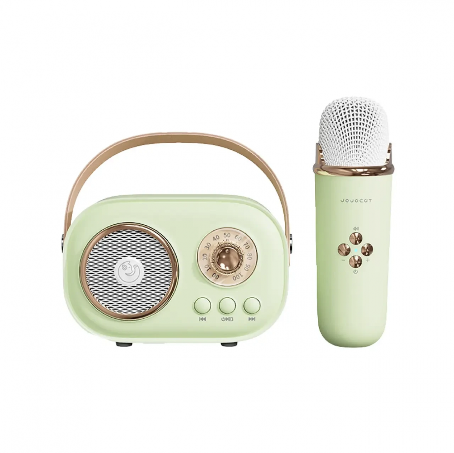 Колонка портативна з мікрофоном C-20 BT/TF/USB/FM 5 Вт Зелений