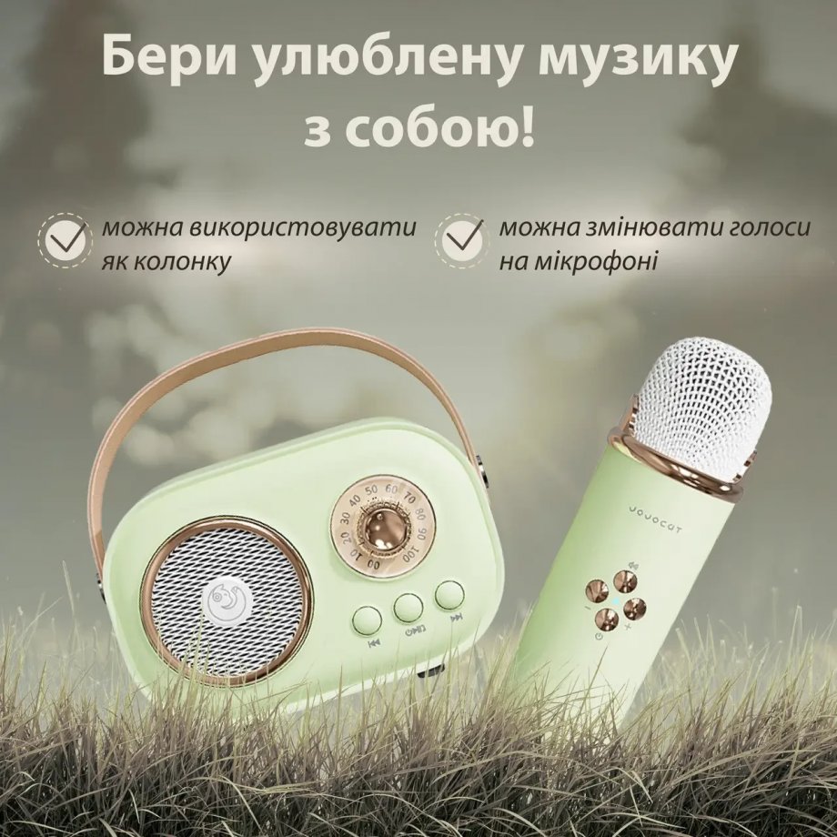 Колонка портативна з мікрофоном C-20 BT/TF/USB/FM 5 Вт Зелений