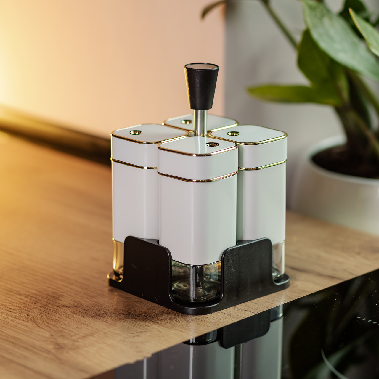 Набір для спецій на підставці 4 предмети 10х10х17 см ємності для приправ 120 мл Білий