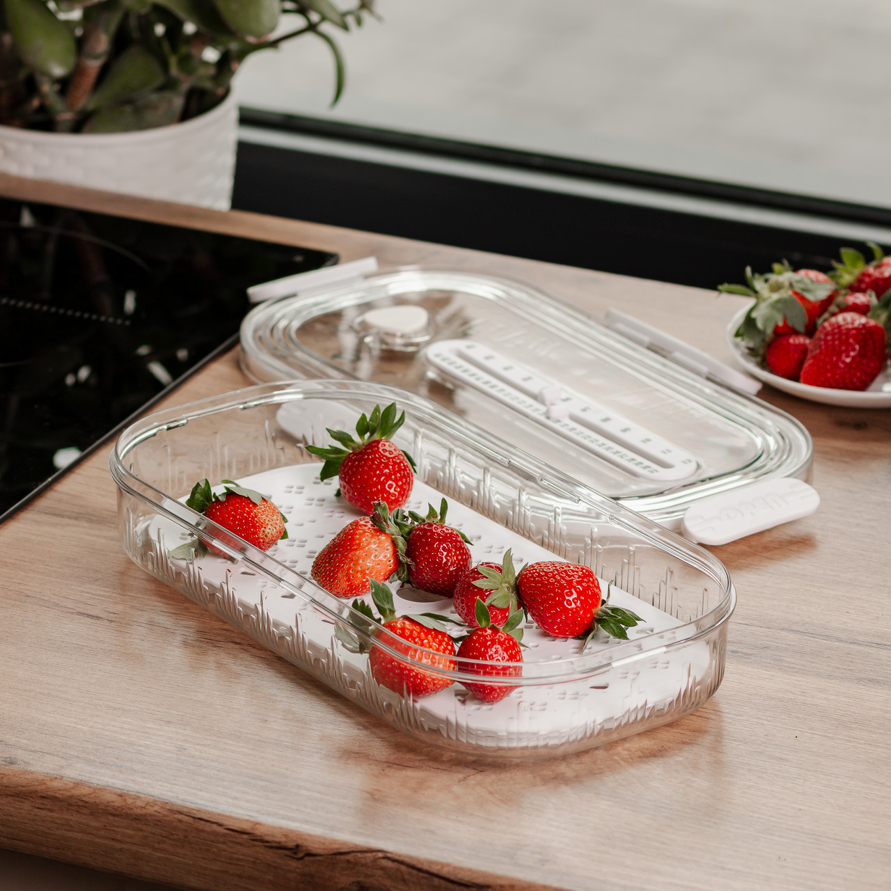 Контейнер для їжі пластиковий 32.5х17.5х6 см харчовий контейнер з індикатором дати 1 л Білий HP-27-7