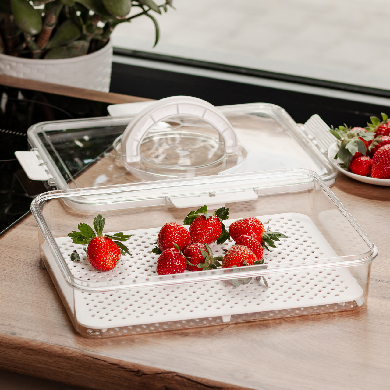 Контейнер для їжі з ручкою 31х24х7 см пластиковий харчовий контейнер 2.5 л HP-27-10