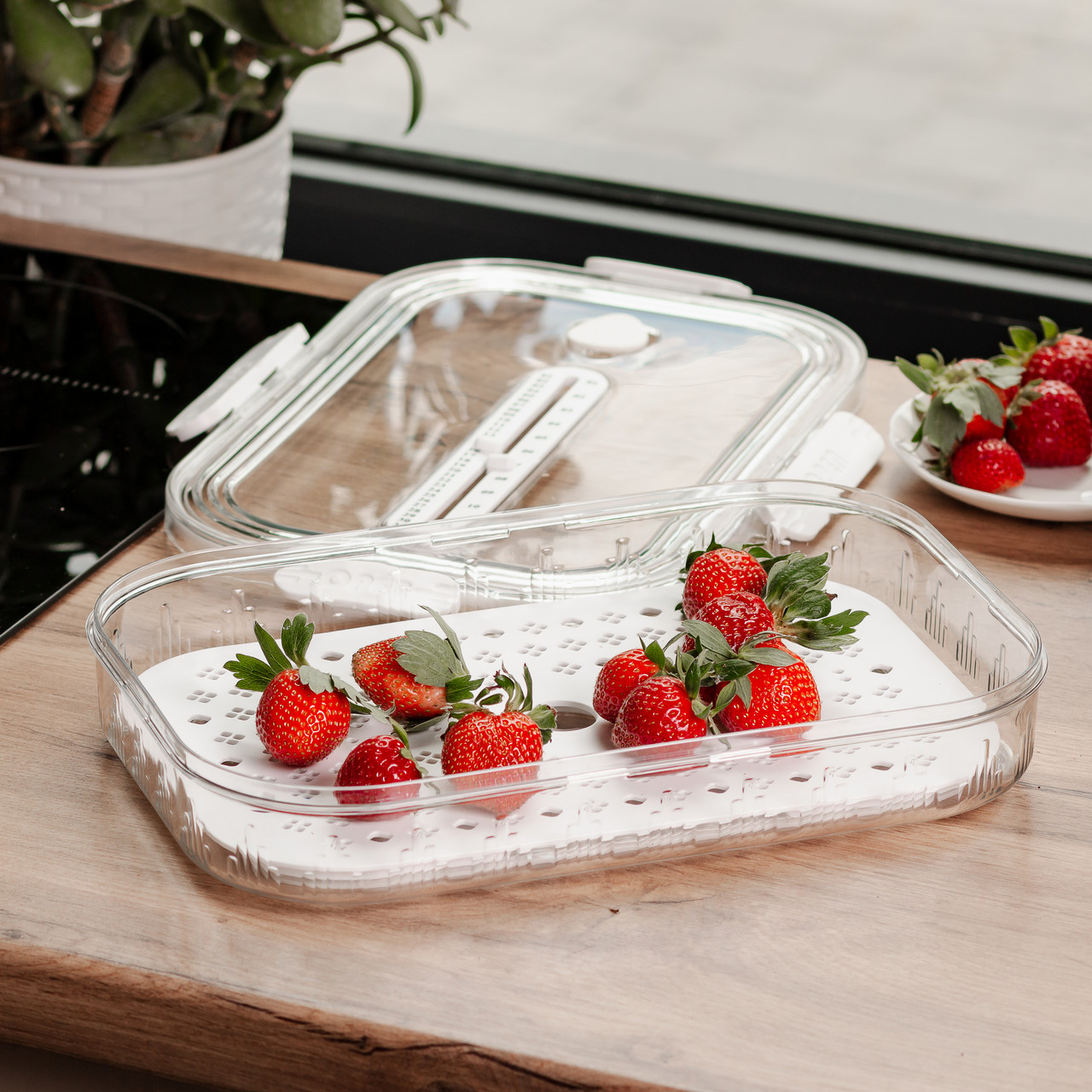 Контейнер для їжі пластиковий 32.5х22.5х6 см з індикатором дати та регулюванням вологості харчовий контейнер Білий HP-27-6