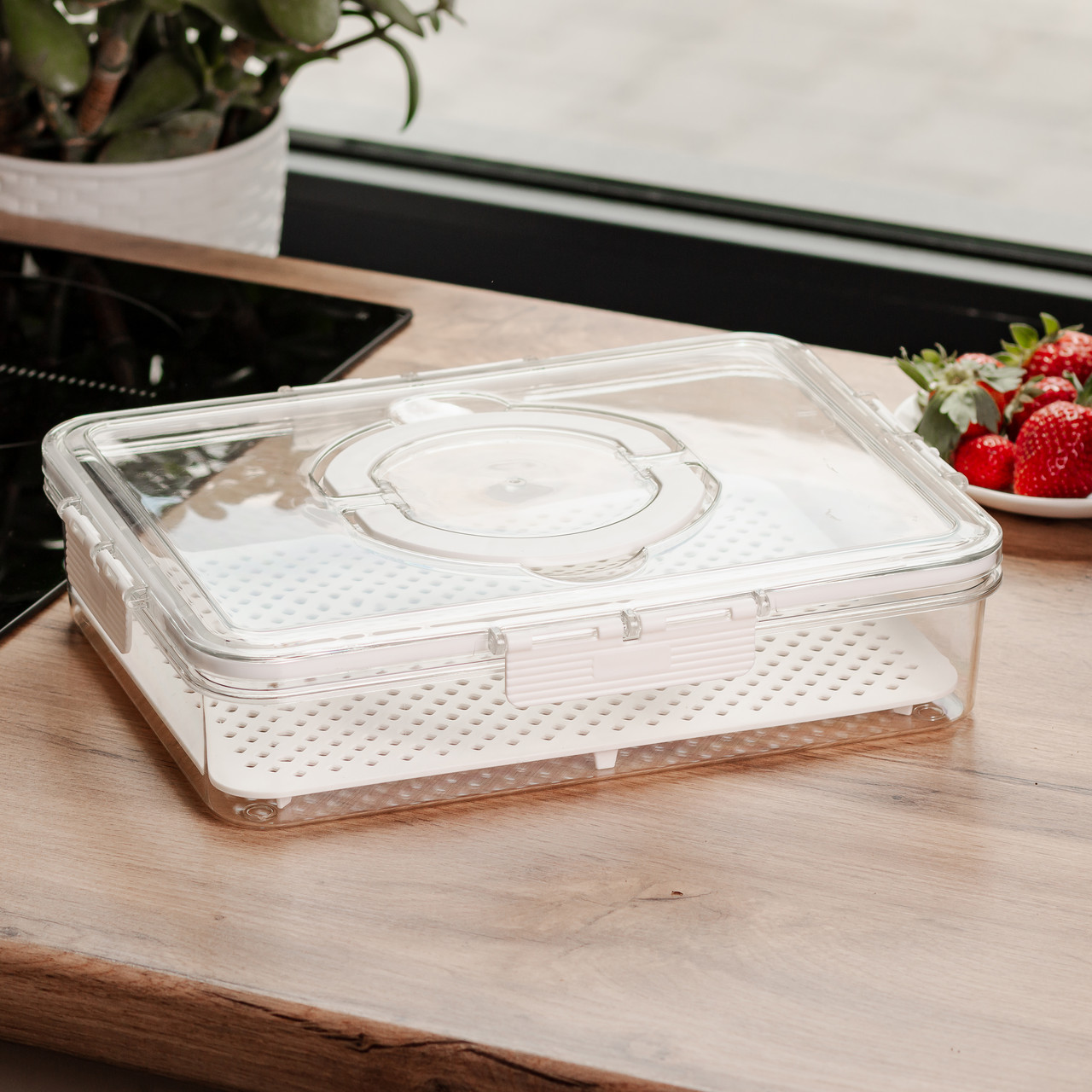 Контейнер для їжі з ручкою 31х24х7 см пластиковий харчовий контейнер 2.5 л HP-27-10