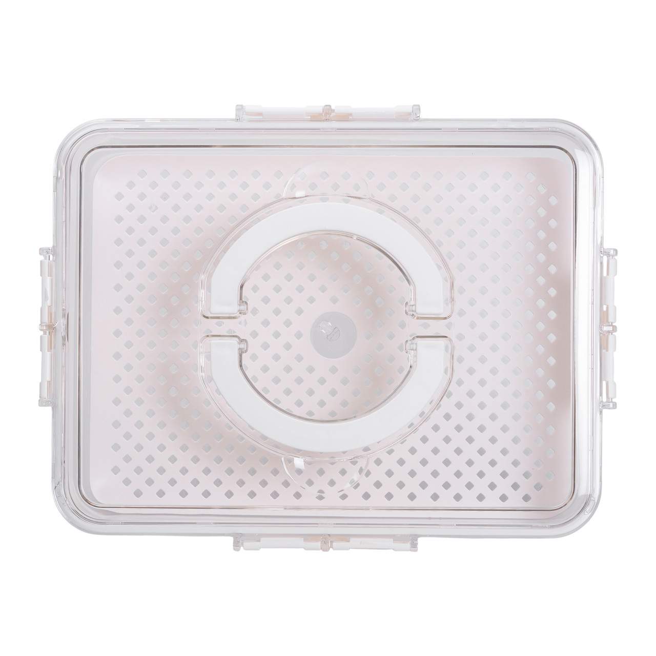 Контейнер для їжі з ручкою 31х24х7 см пластиковий харчовий контейнер 2.5 л HP-27-10