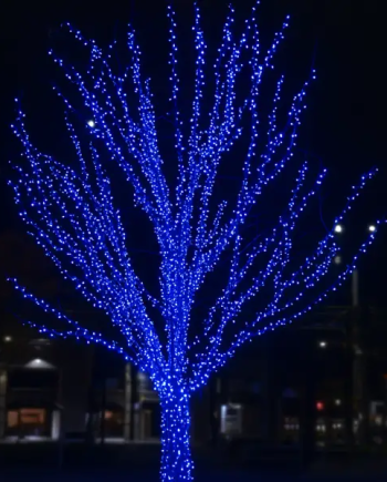 Гірлянда Нитка вулична 30 (м) 300 LED чорний провід Синій CF300L30MBBL