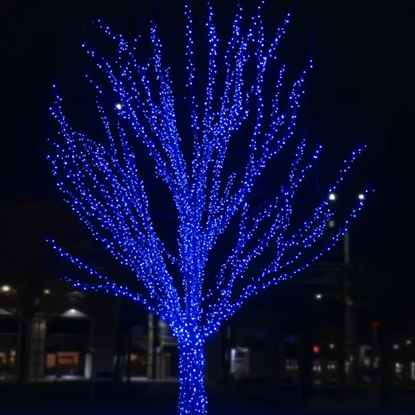 Гірлянда Нитка вулична 30 (м) 300 LED чорний провід Синій CF300L30MBBL