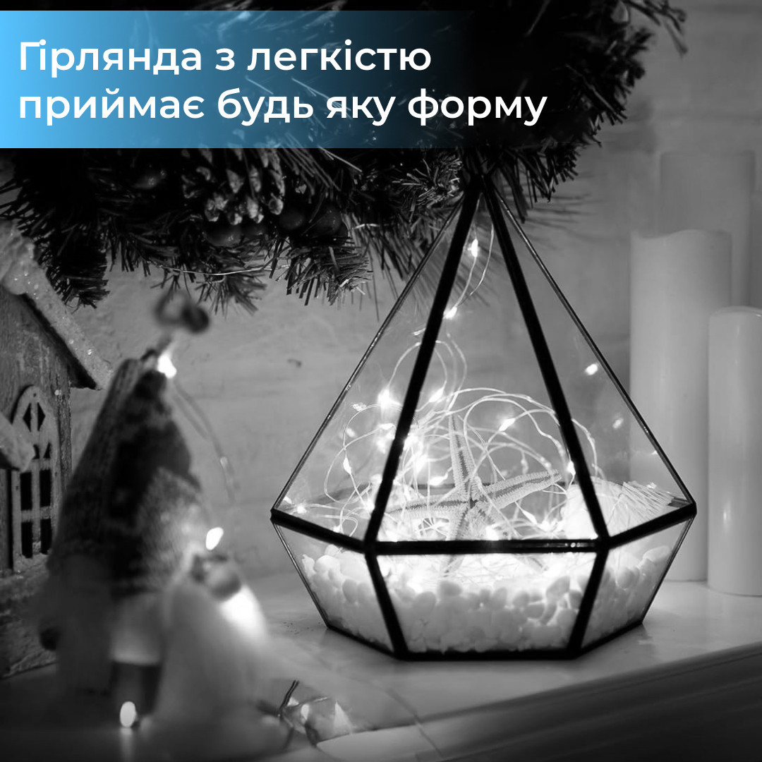 Гірлянда світлодіодна кінський хвіст GarlandoPro 200LED Роса 2м 10 ліній Білий 1733011W