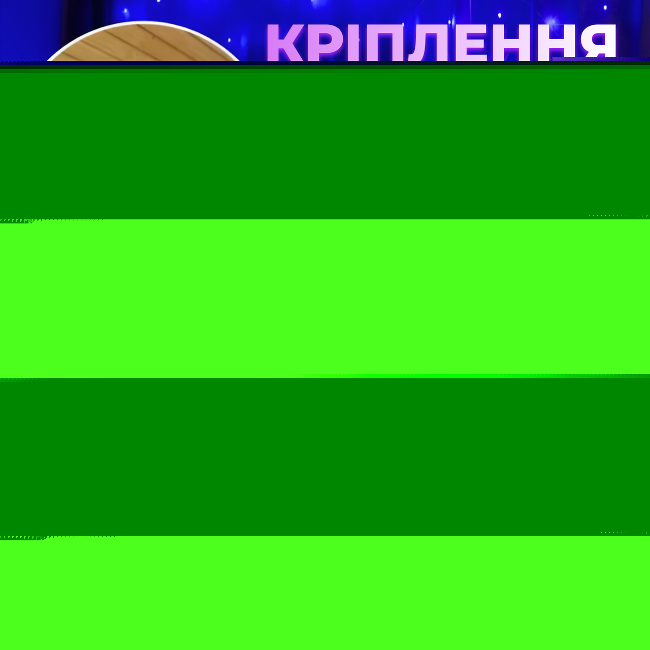 Розумна гірлянда Smart штора 400 LED 3*3 м з керуванням зі смартфона, мультиколор W006SH