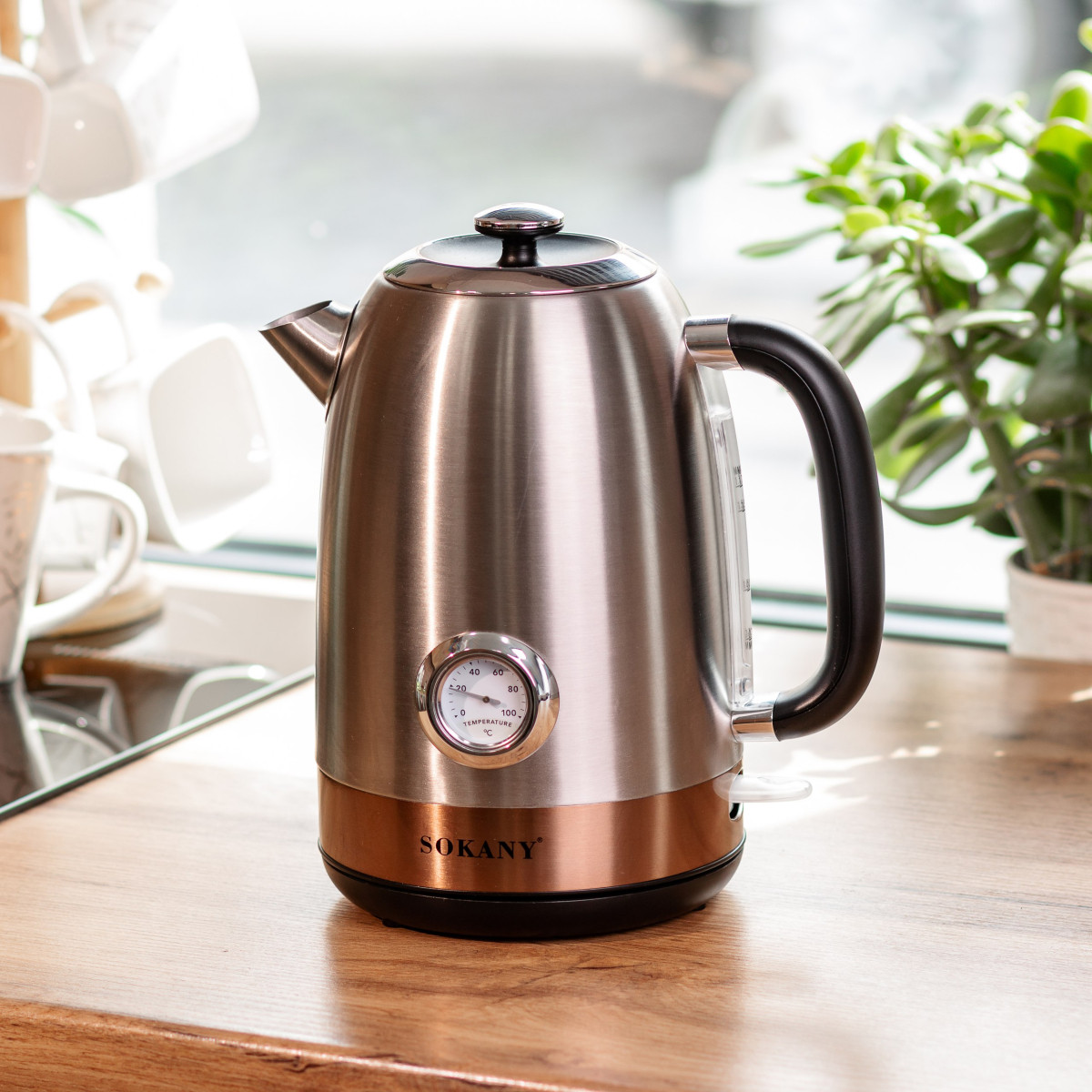 Електрочайник Sokany SK1031SS з термометром 1.7 л